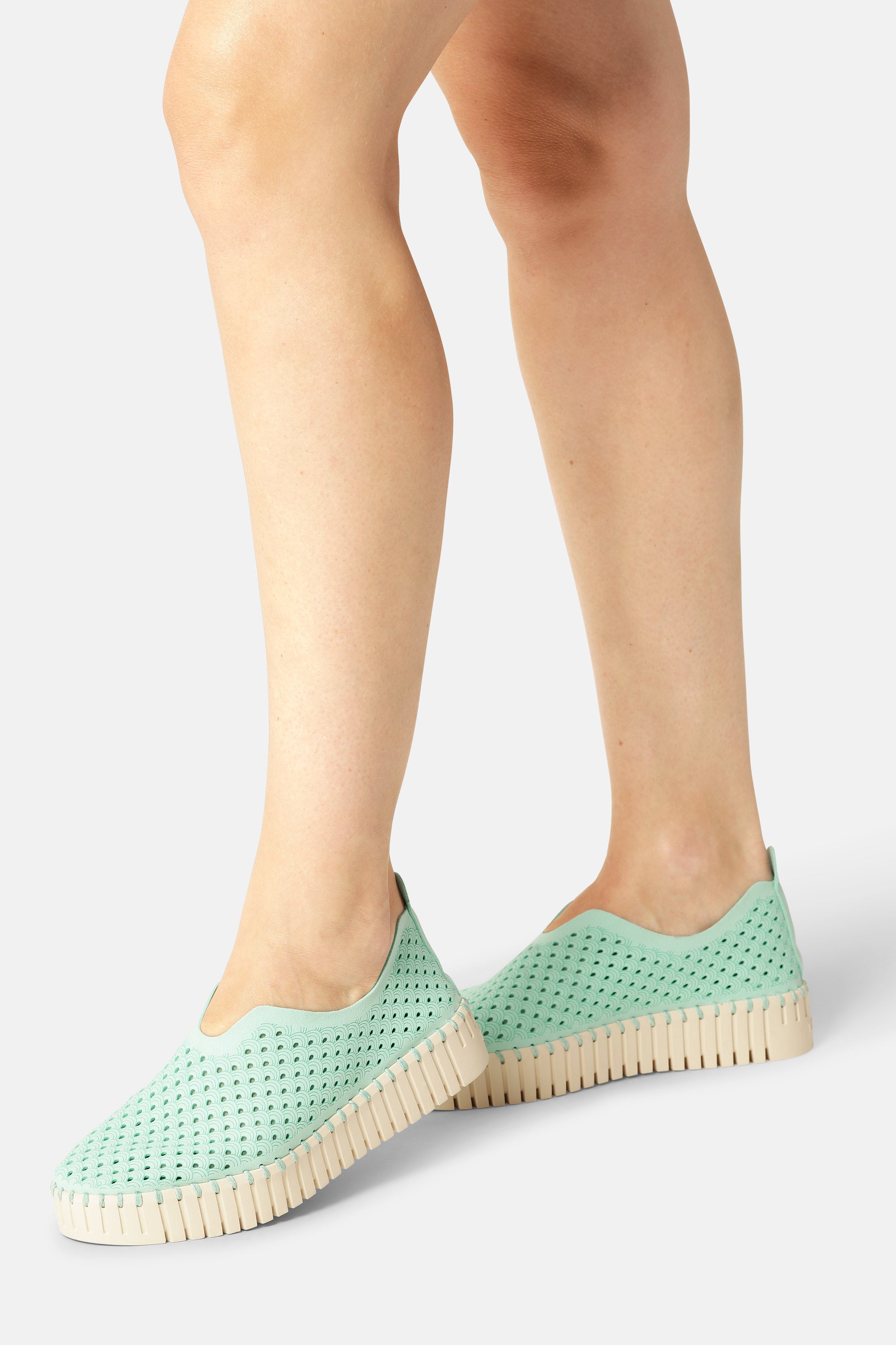 Platform Tulip Flats - Yucca